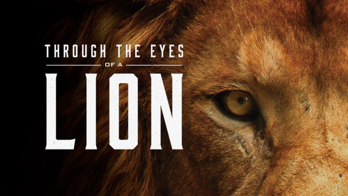 Through The Eyes Of A Lion with Levi Lusko